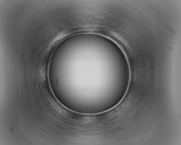 X0000112471451200908171148