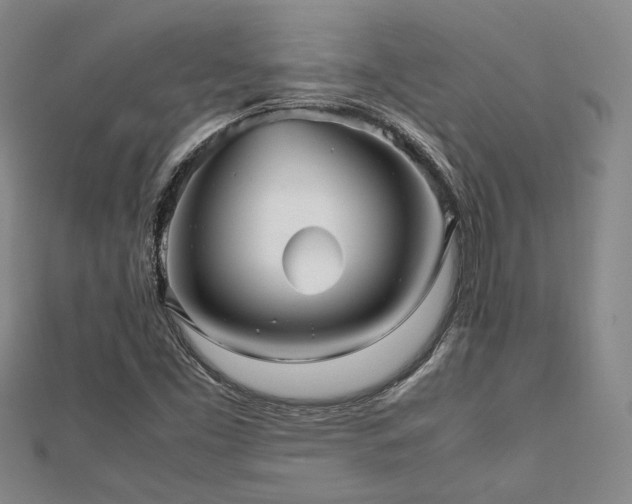 X0000112471453200908171148