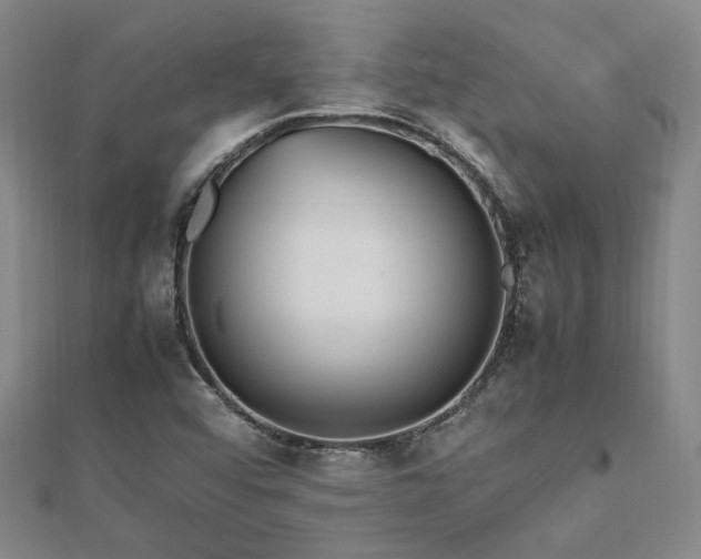 X0000112471456200908171148