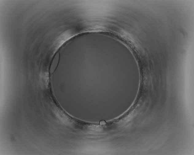 X0000112471457200908171148