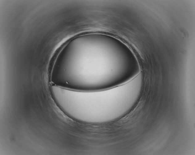 X0000112471460200908171148