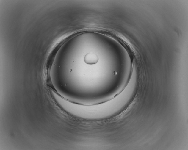 X0000112471461200908171148