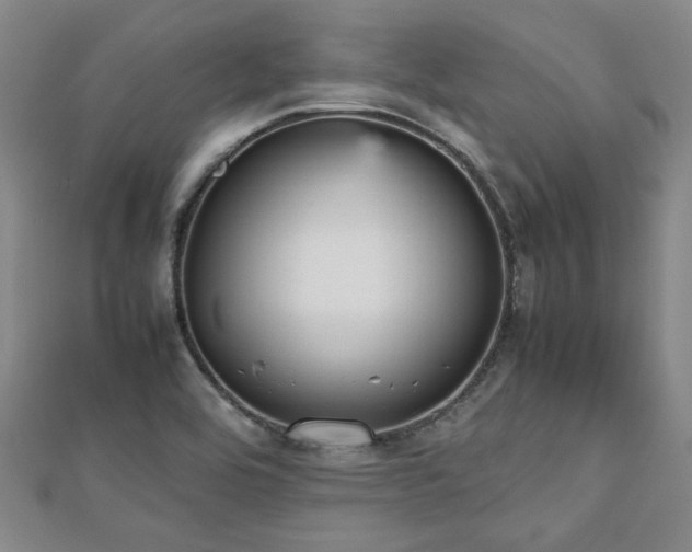 X0000112471464200908171148