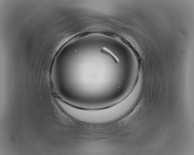 X0000112471465200908171148