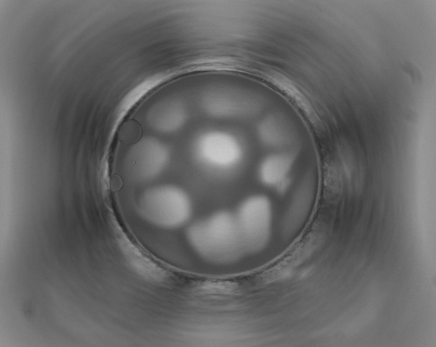 X0000112471466200908171148