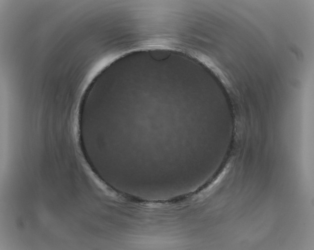 X0000112471469200908171148