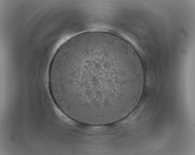 X0000112471471200908171148