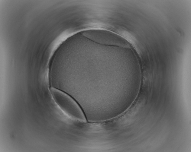 X0000112471472200908171148