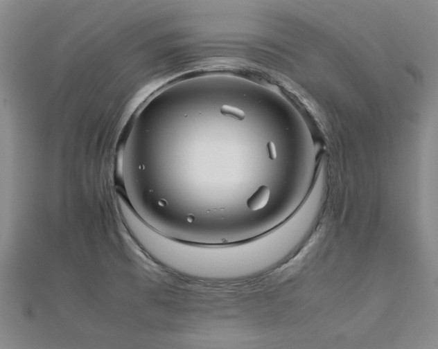 X0000112471473200908171148
