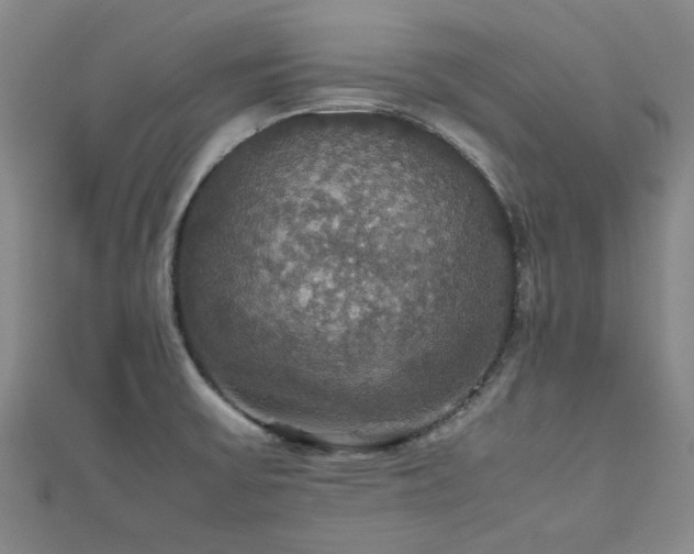 X0000112471475200908171148