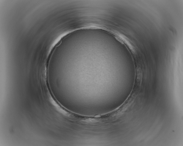 X0000112471476200908171148