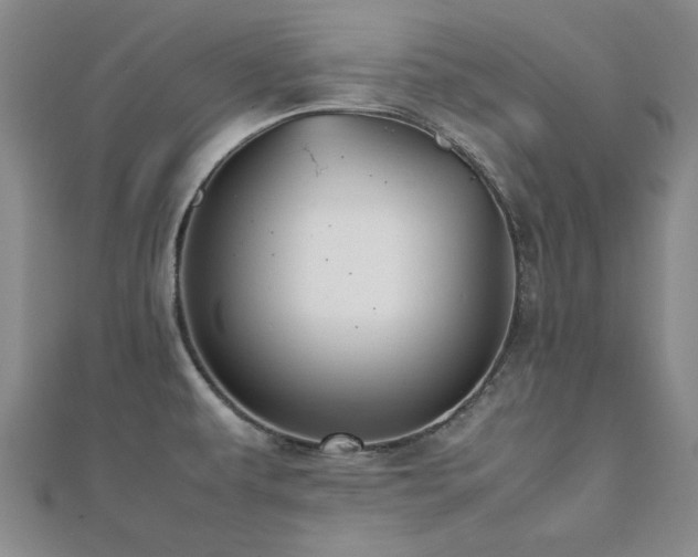 X0000112471479200908171148