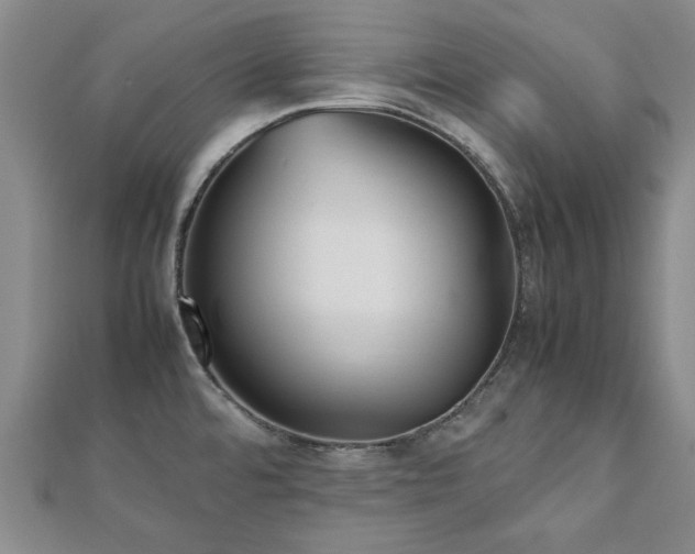 X0000112471480200908171148