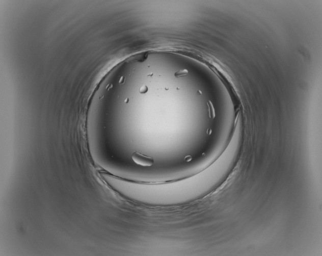 X0000112471481200908171148