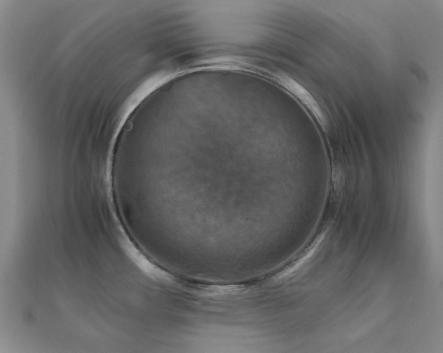 X0000112471482200908171148