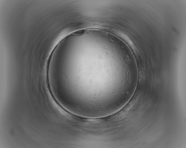 X0000112471483200908171148