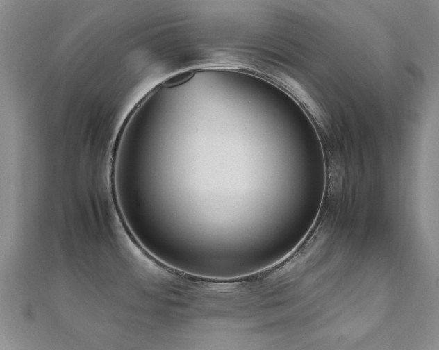 X0000112471484200908171148