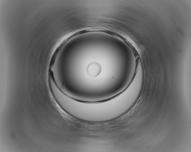 X0000112471485200908171148