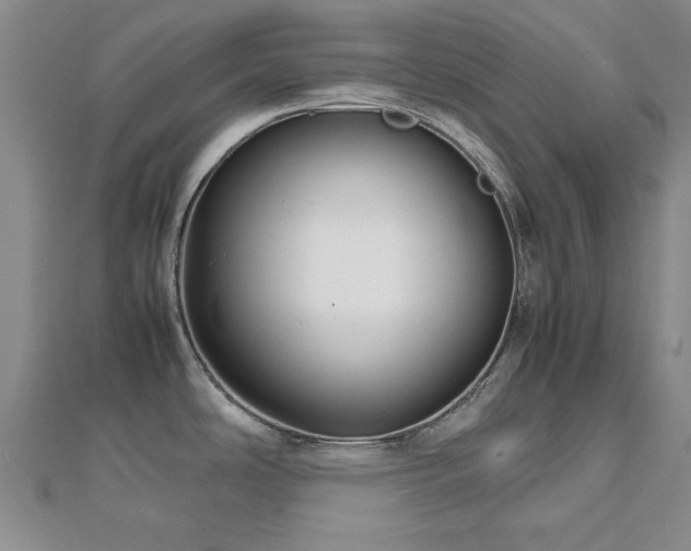 X0000112471486200908171148