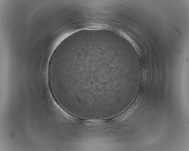 X0000112471487200908171148