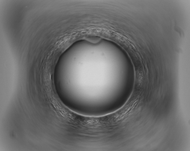 X0000112471489200908171147