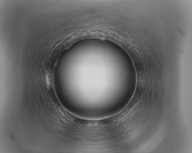 X0000112471490200908171147