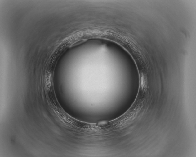 X0000112471492200908171147
