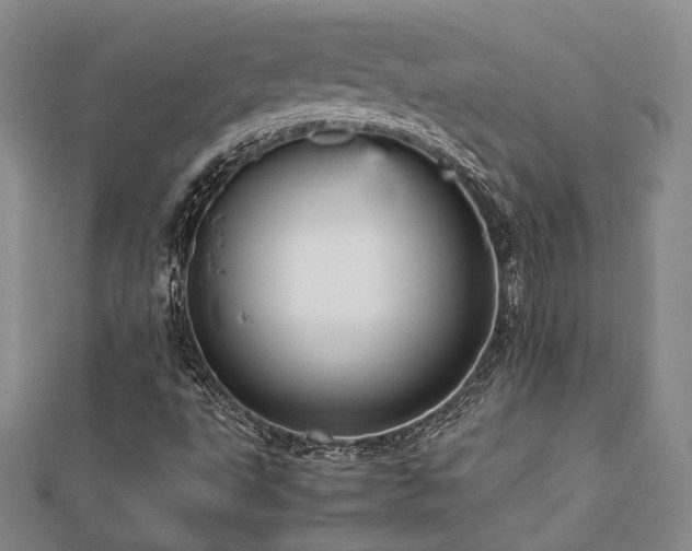 X0000112471495200908171147