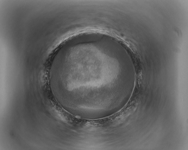 X0000112471496200908171147