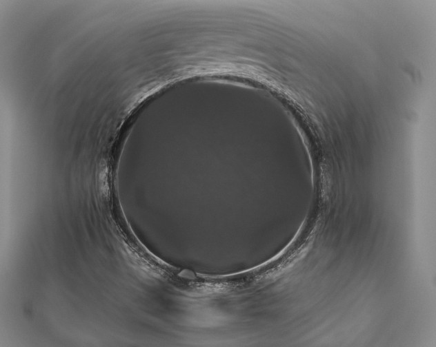 X0000112471497200908171147
