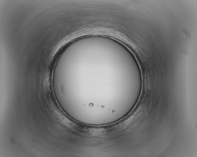 X0000112471498200908171147