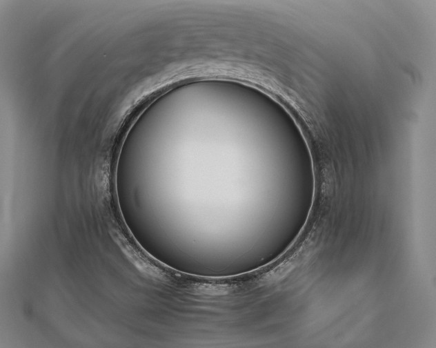 X0000112471499200908171147