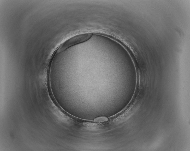 X0000112471500200908171147