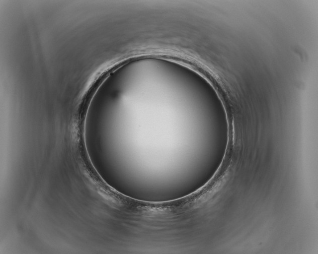 X0000112471501200908171147
