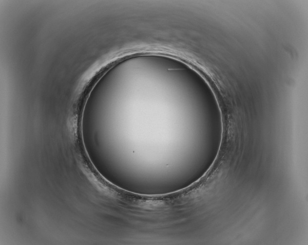 X0000112471503200908171147
