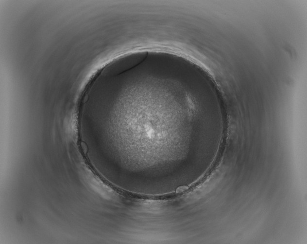 X0000112471506200908171147