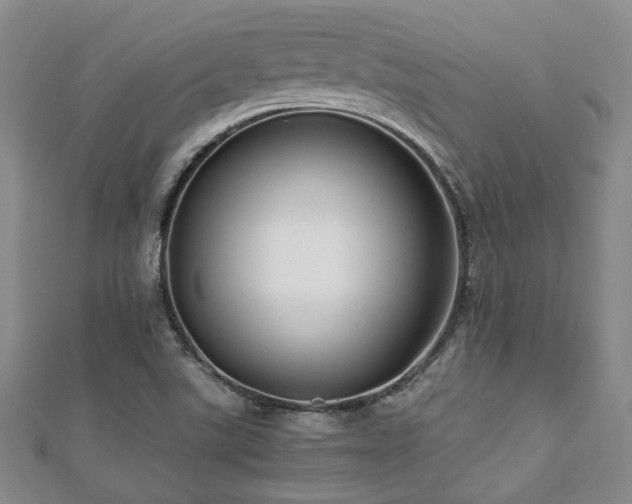 X0000112471507200908171147