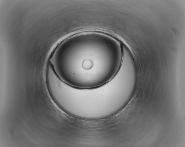 X0000112471508200908171147