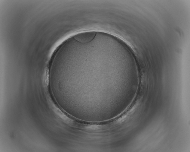 X0000112471510200908171147