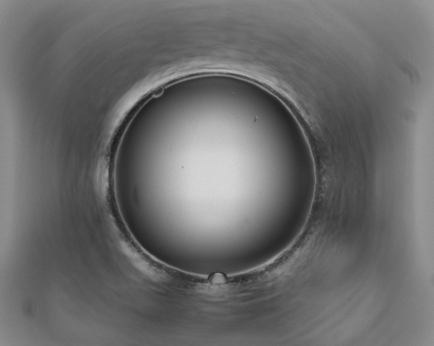 X0000112471511200908171147