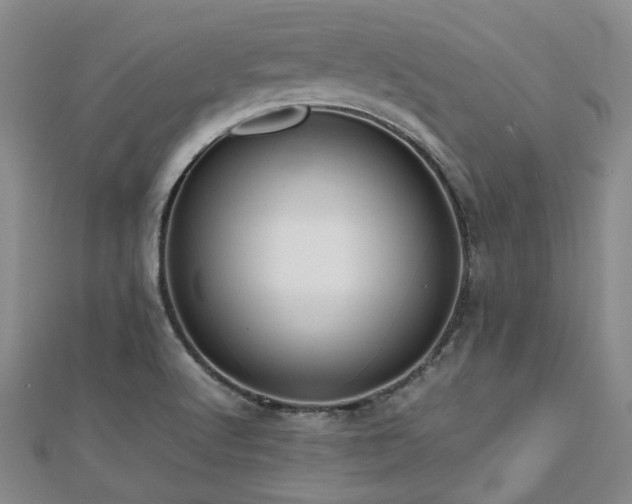 X0000112471512200908171147