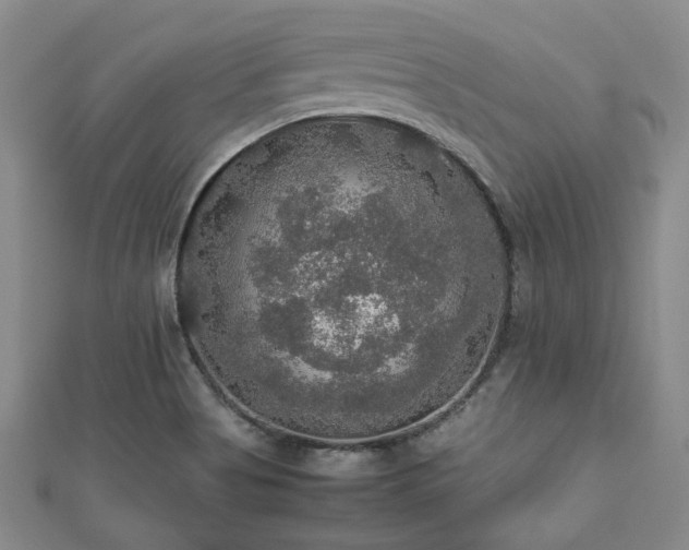 X0000112471513200908171147