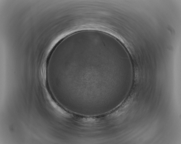 X0000112471515200908171147
