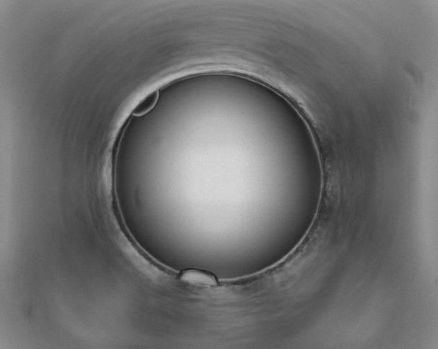 X0000112471516200908171147
