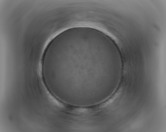 X0000112471517200908171147