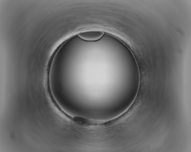 X0000112471518200908171147