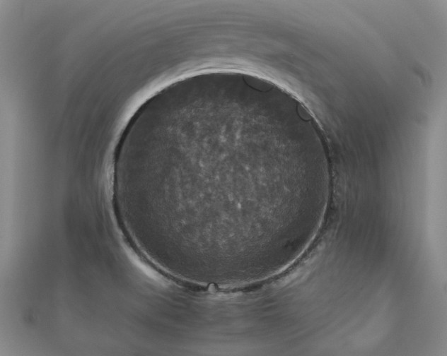 X0000112471519200908171147