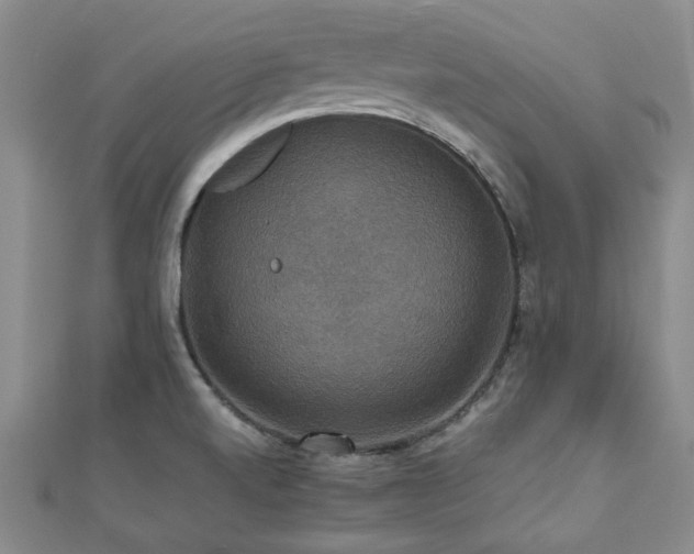 X0000112471520200908171147