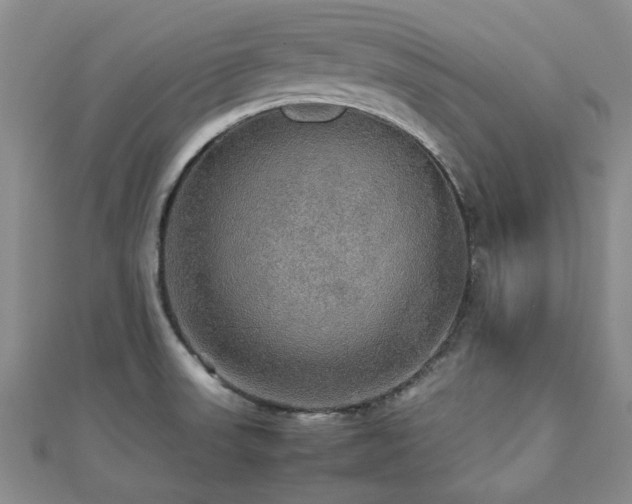 X0000112471523200908171148