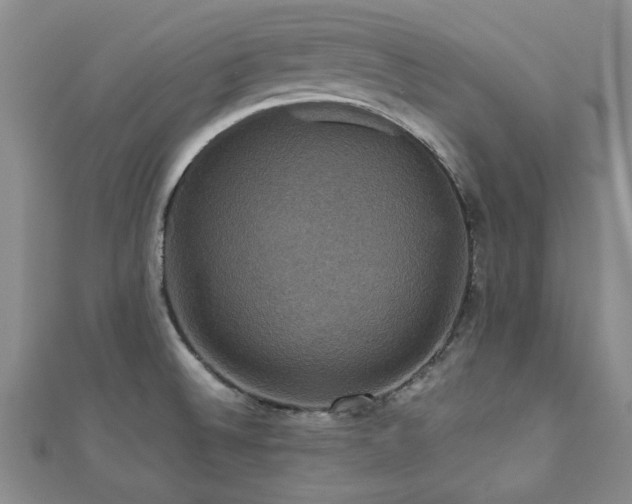 X0000112471524200908171148